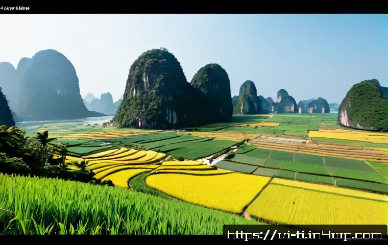 Sản xuất thực phẩm sấy: Những vấn đề xã hội cần tính trước khi đầu tư thiết bị và mở rộng bán hàng 4 건조 식품 제조와 관련된 사회적 이슈 관련 이미지 2